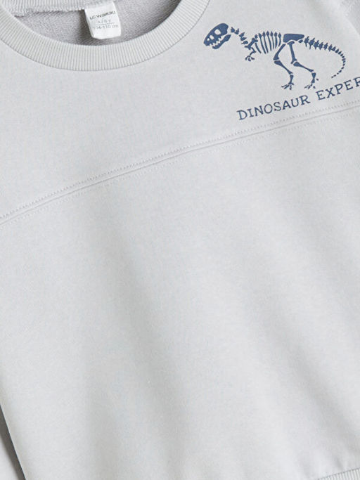 Dinozor Bask?l? Erkek ?ocuk Sweatshirt ve E?ofman Alt