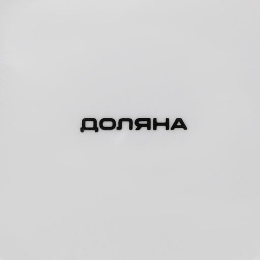 Тарелка фарфоровая обеденная Доляна «Звёздная ночь», d=25 см