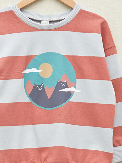 Bisiklet Yaka Uzun Kollu Bask?l? Erkek Bebek Sweatshirt - Waikiki фото 3