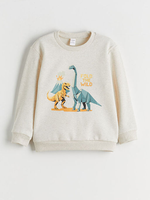 Dinozor Bask?l? Erkek ?ocuk Sweatshirt 2li