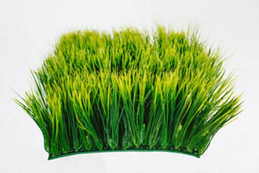 149 Трава газонная