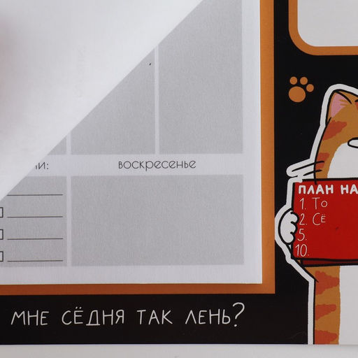 Планер на магнитах с отрывными листами, 50 л Кот - Artfox фото 4