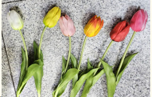 Цена за 1 шт. Цветок искусственный Тюльпан 39 см / GR-004 /уп 60/720/силикон (Белый)