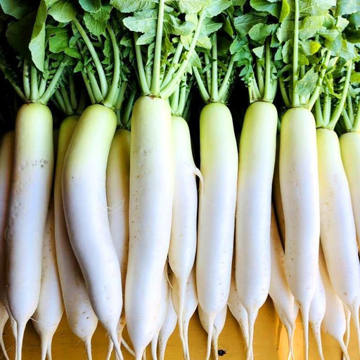 Аокуби Дайкон - Aokubi Daikon - ???? - Дом помидоров фото 2