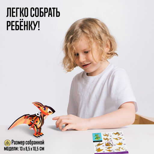 Деревянный конструктор Птеродактиль - Лесная мастерская фото 4