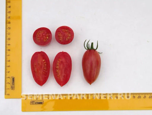 Томат Розовый Котя F1 - Партнер фото 4