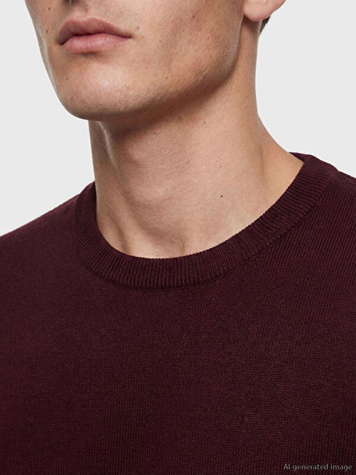 Bisiklet Yaka Erkek Triko Kazak