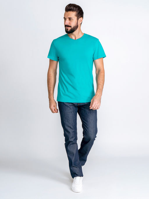 Футболка мужская короткий рукав GREG G146-RD-2011 (ментол)  фото 4