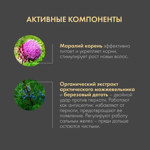 Шампунь против перхоти мощь марала, 250 мл Natura Siberica  фото 5