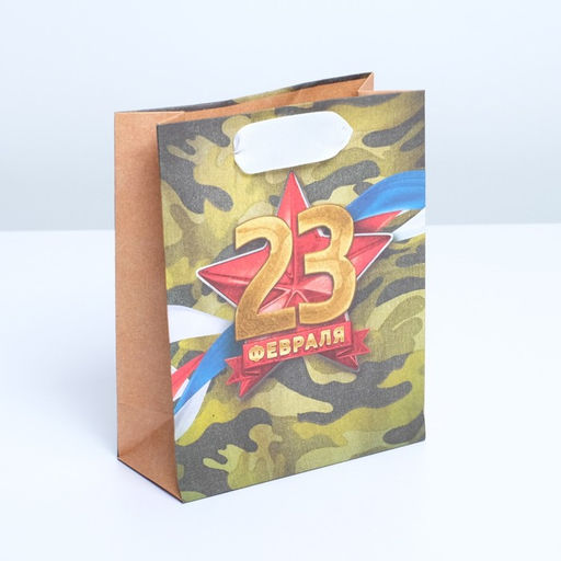 Цена за 2 шт. Пакет подарочный крафтовый, упаковка, «Красная звезда», 12 х 15 х 5.5 см