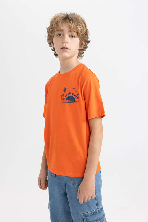 Футболка с короткими рукавами и круглым вырезом на спине для мальчиков - Defacto фото 4