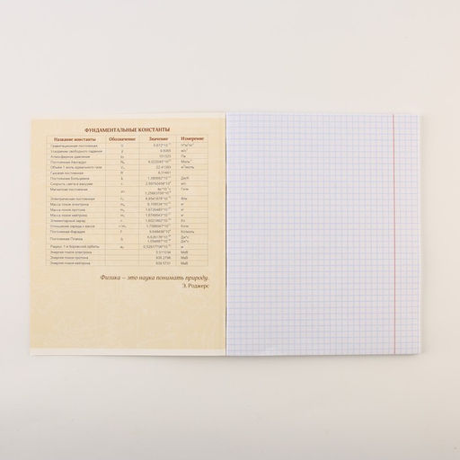 Тетради предметные, 48 л., А5, набор из 3 шт. КОТэ - Artfox study фото 2