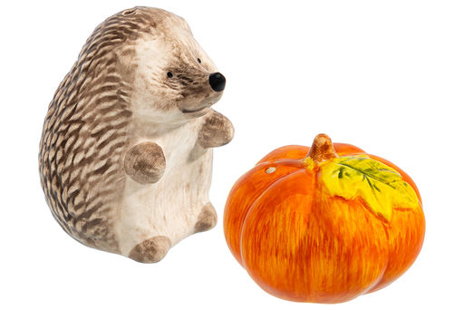 Набор д/специй 2 пр. 6*6*7,5 см, 6,5*6,5*4,5 см "Ёжики", керамика