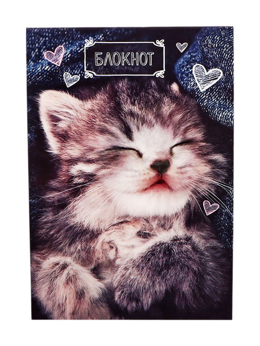 Цена за 20 шт. Блокнот А6, 24 листа в клетку на скрепке «Котята», обложка мелованный картон, МИКС