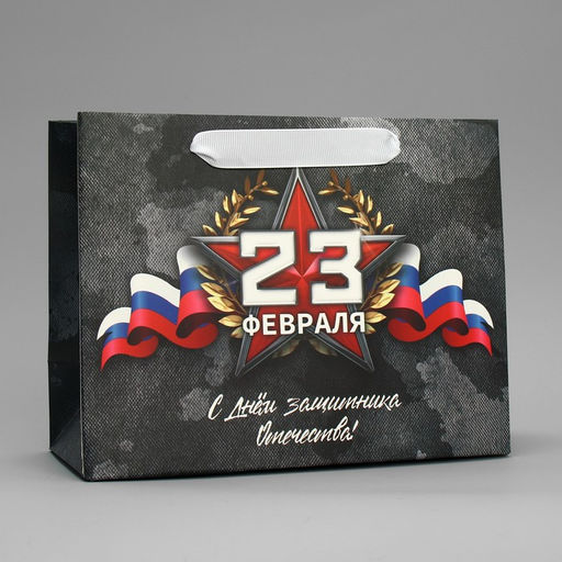 Цена за 2 шт. Пакет подарочный ламинированный, упаковка, «23 февраля», MS 23×18×10 см