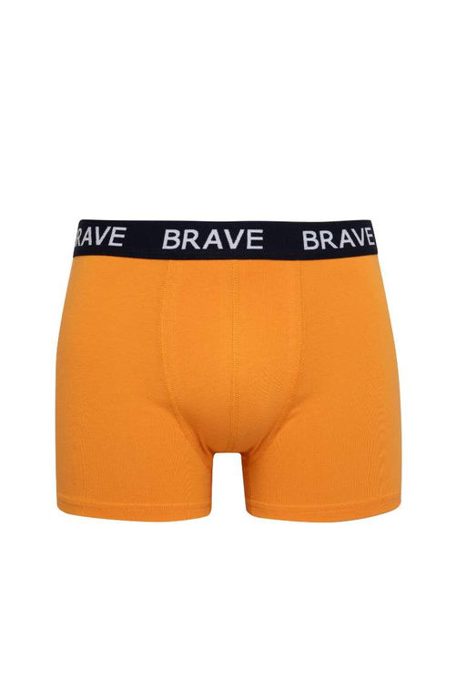 Комплект боксеров стандартной посадки (3 шт.) - Defacto фото 8