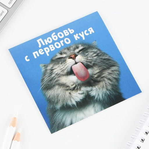 Цена за 20 шт. Блокнот 10х10, 16 листов МИКС Животные - Artfox фото 9