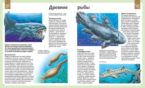 Универсальная школьная энциклопедия (нов.оф.). Перруден Ф., Камбурнак Л., Симон Ф.,... - Махаон фото 7