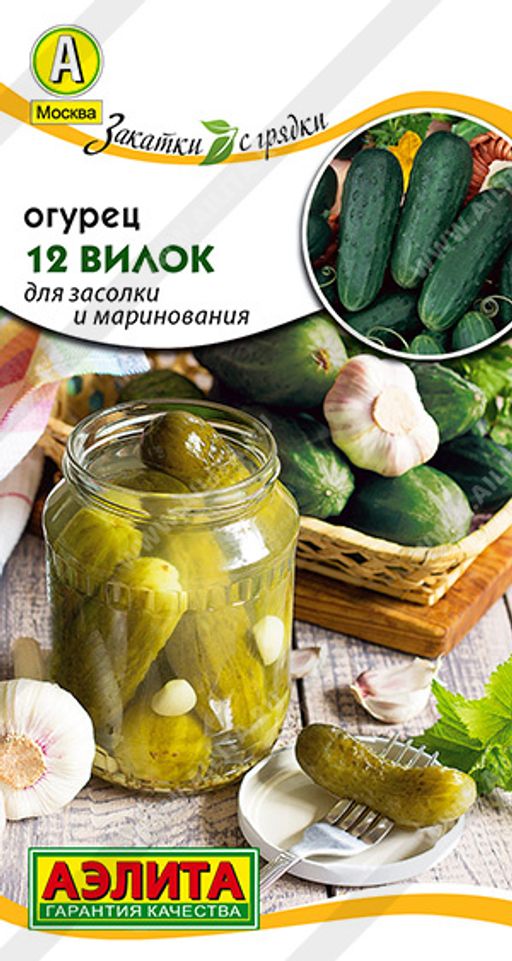 Огурец 12 Вилок --- Пч Закатки с грядки