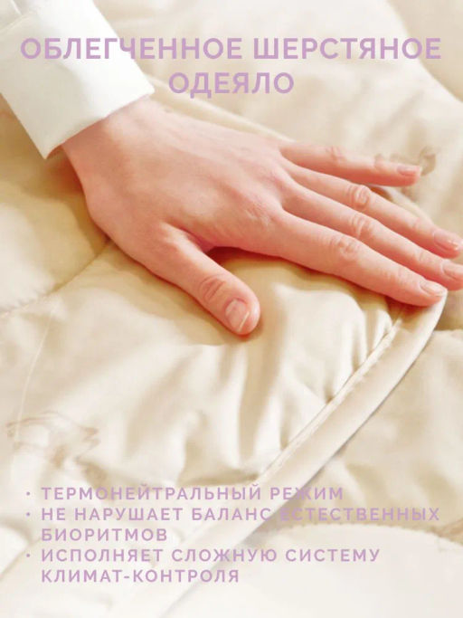 -34% Одеяло облегченное 200*220 Караван Premium - Ecotex фото 5