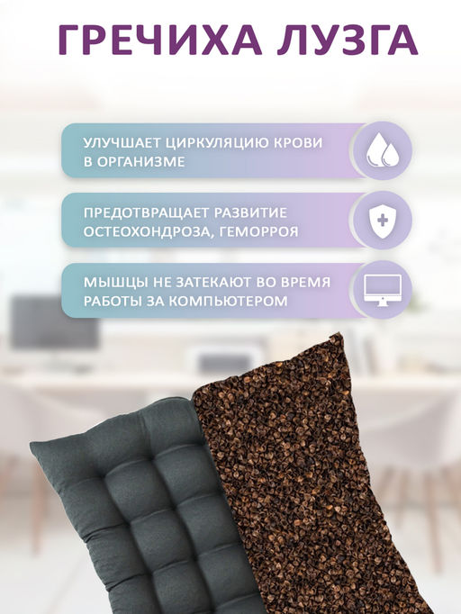 Подушка для сиденья Bio-Line KSG с гречневой лузгой