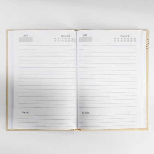 Подарочный набор, ежедневник в твердой обложке А5, 80 л планер, 50 л. С днем защитника отечества. 23 февраля - Artfox фото 3