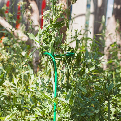 Цена за 2 шт. Кустодержатель для цветов, d=20 (5) см, h=120 см, ножка d=1 см, металл, зелёный - Simaland фото 7