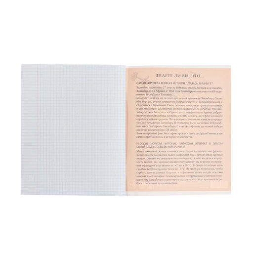 Тетрадь предметная Герб, 48 листов в клетку История, обложка мелованный картон, Уф-лак, блок офсет - Calligrata фото 4