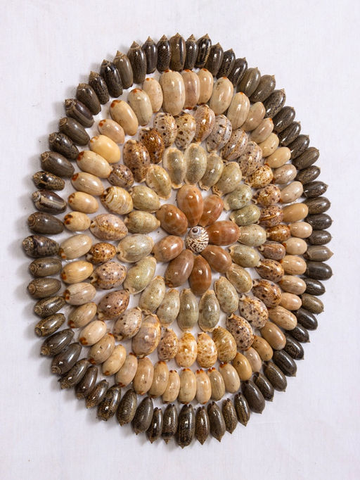 Панно «Композиция из ракушек», 45×3×45 см