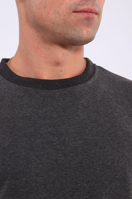 Лонгслив мужской футер двухнитка, Арт. 810