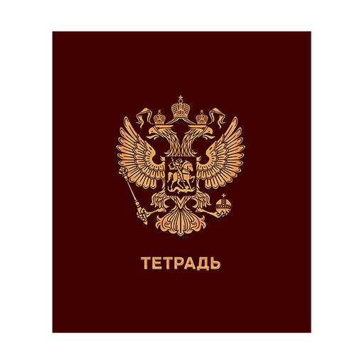 Тетрадь 48 листов в клетку Calligrata ГосСимволика, обложка мелованный картон, ТВИН-лак, тиснение фольгой, блок офсет МИКС  фото 5