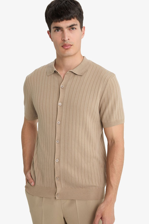 Standart Fit Polo Yaka Triko K_sa Kollu Ti__rt