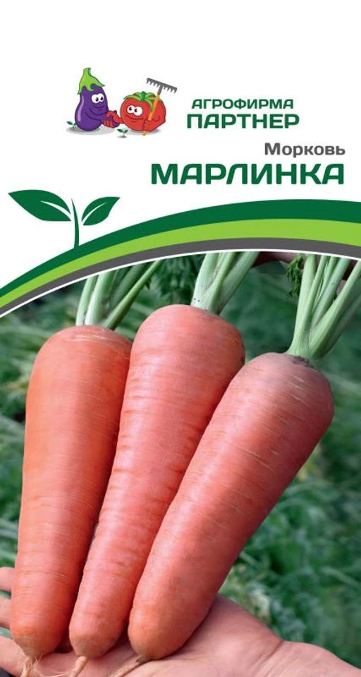 Морковь Марлинка