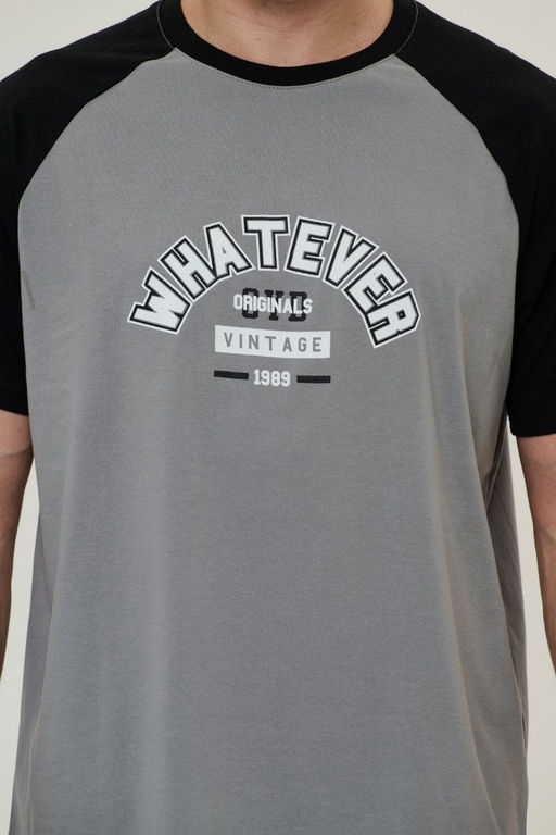 футболка мужская 2878-23 Новинка - Mix-mode фото 4