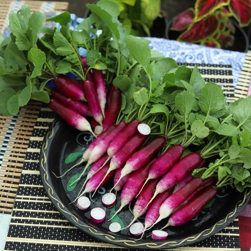 Редис ВЕДЬМИНЫ ПАЛЬЦЫ  Редкая окраска! Без горечи и пустот! Не стрелкуется! - Уральский дачник фото 2