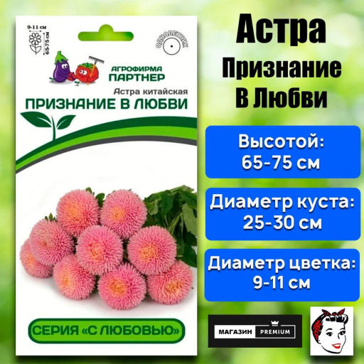 Астра китайская Признание в Любви - Партнер фото 2
