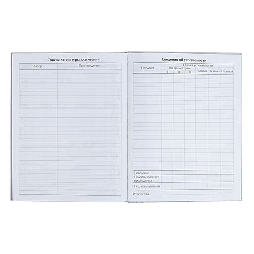 Дневник школьный для 1-11 классов «Аниме. Парень и небо», твёрдая обложка, глянцевая ламинация, 40 листов