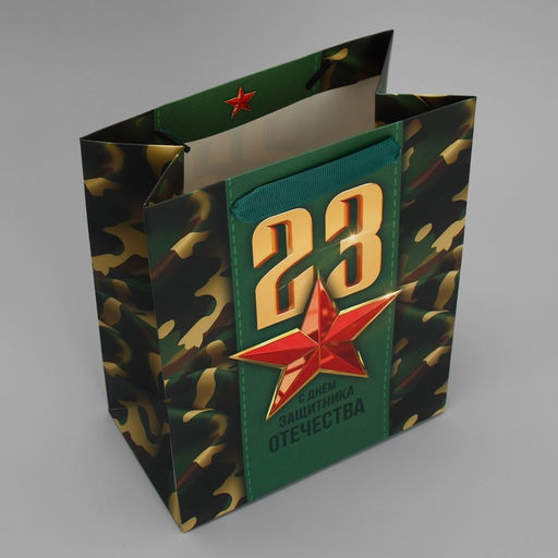 Цена за 2 шт. Пакет подарочный ламинированный, упаковка, С 23 февраля, MS 18?23?10 см