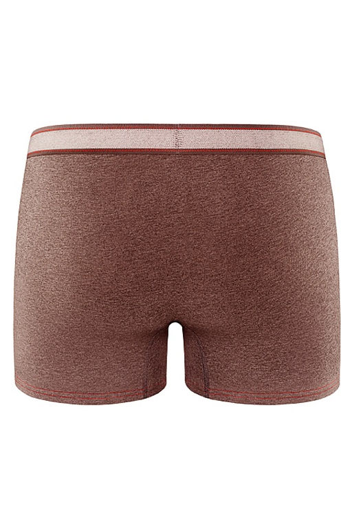 Мужские трусы BB99 Коричневый