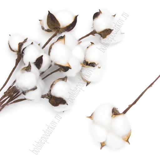 Веточки 30 см; 10 шт Хлопок (SF-1909) белый - Больше подарков фото 3
