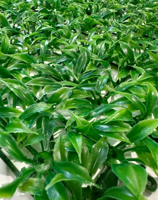 Искусственная трава на стену, коврик газон в модулях, декоративный газон 40х60см