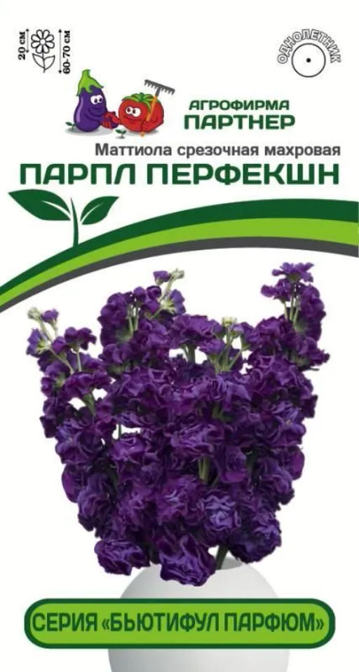 Маттиола срезочная махровая Бьютифул Парфюм Парпл Перфекшн