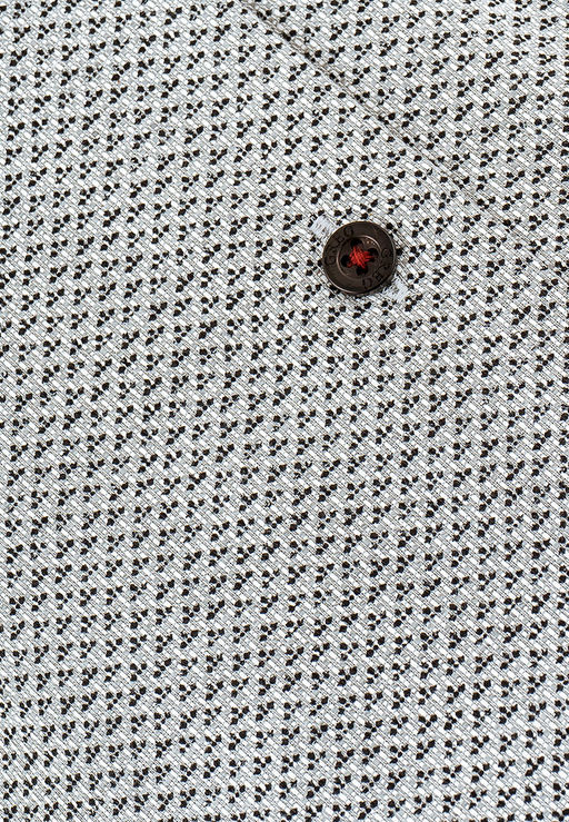 Сорочка мужская длинный рукав GREG 333/131/1091/Z/1p  фото 3