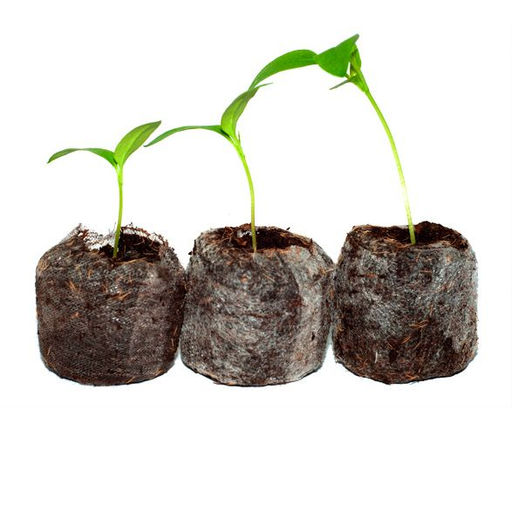 10шт. Таблетка кокосовая d35мм с оболочкой