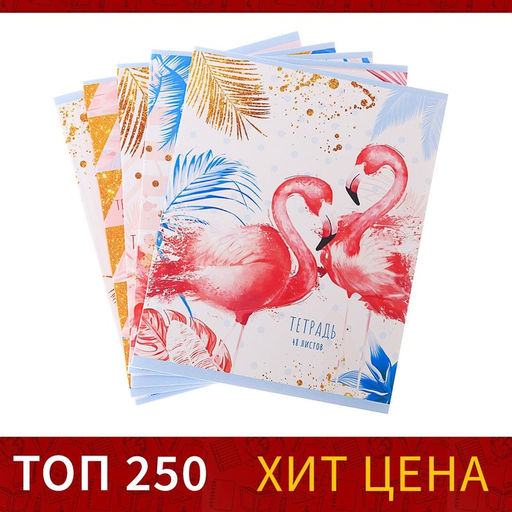 Цена за 5 шт. Тетрадь 48 листов в клетку, Calligrata «Фламинго», МИКС