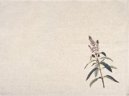 24С27-ШР/р.п/фкор/к. Комплект полотенец из 3 шт 46*60 "Прованские травы-3" рис. 295