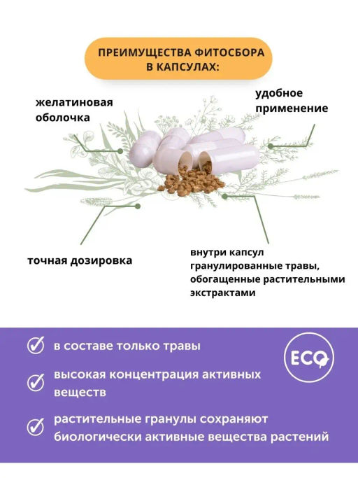 БАД Капсулы Анти-стресс Алфит 3468  фото 7