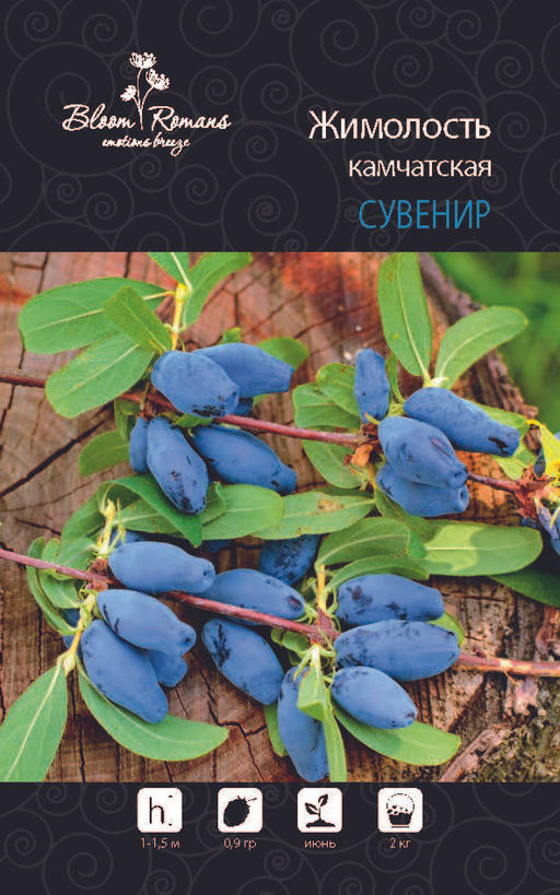 Жимолость Сувенир
