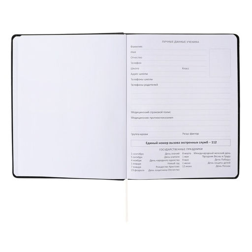 Дневник универсальный для 1-11 класса "Не расстраивайся из-за ерунды", интегральная обложка, искусственная кожа, шелкография, ляссе, 80 г/м²