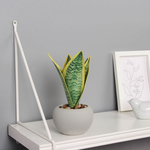 Искусственный цветок в горшке «Сансевиерия ханни», 8.5×17 см, МИКС